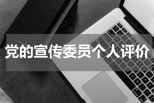 党的宣传委员个人评价