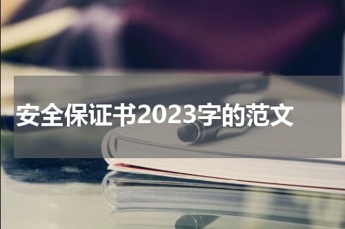 安全保证书2023字的范文