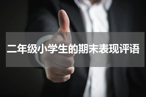 二年级小学生的期末表现评语