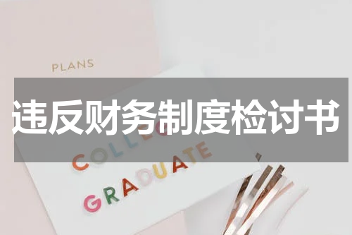 违反财务制度检讨书
