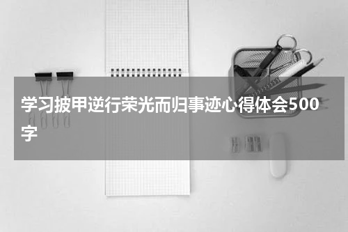 学习披甲逆行荣光而归事迹心得体会500字