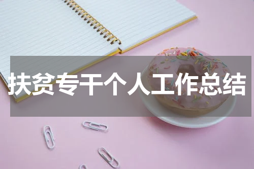 扶贫专干个人工作总结