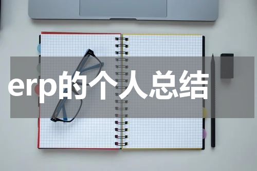 erp的个人总结