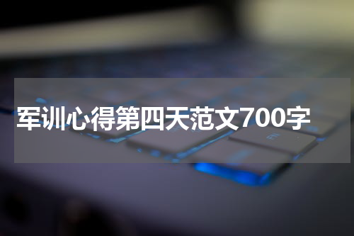 军训心得第四天范文700字