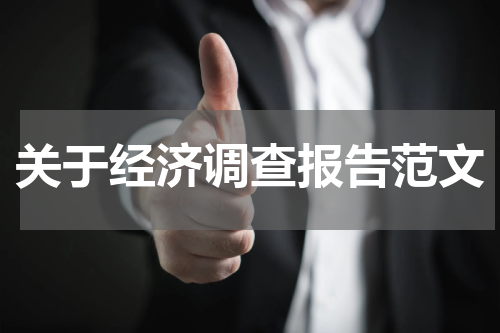关于经济调查报告范文