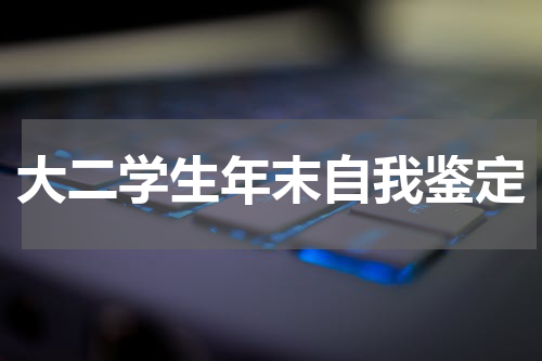 大二学生年末自我鉴定