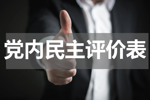 党内民主评价表
