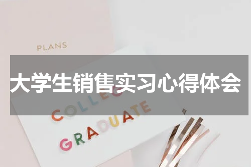 大学生销售实习心得体会