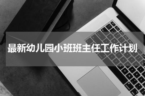 最新幼儿园小班班主任工作计划