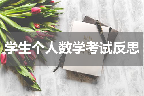 学生个人数学考试反思