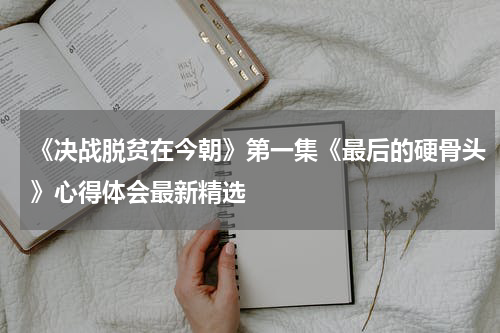 《决战脱贫在今朝》第一集《最后的硬骨头》心得体会最新精选