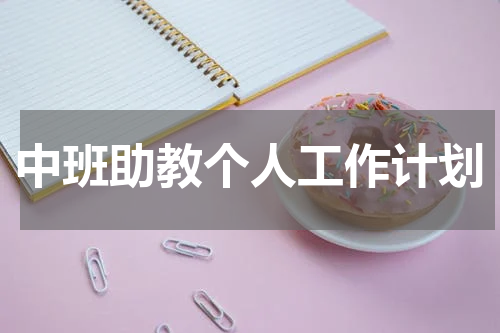 中班助教个人工作计划