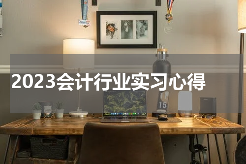 2023会计行业实习心得