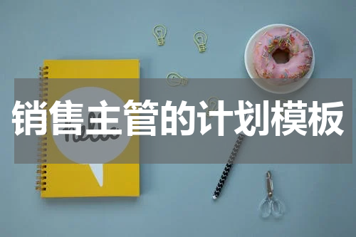销售主管的计划模板