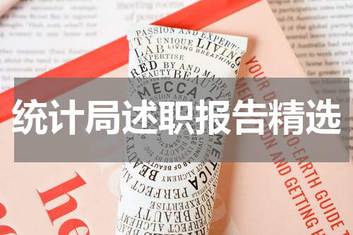 统计局述职报告精选
