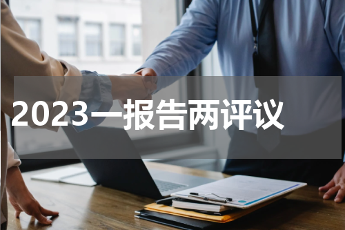 2023一报告两评议