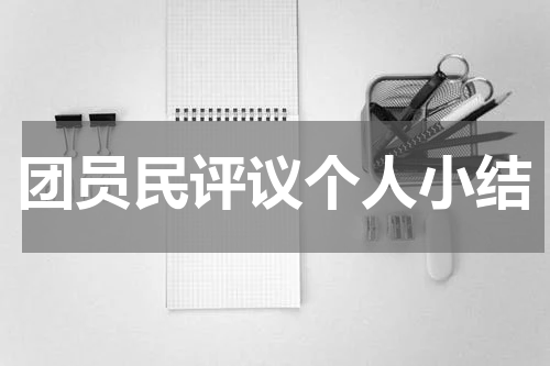 团员民评议个人小结