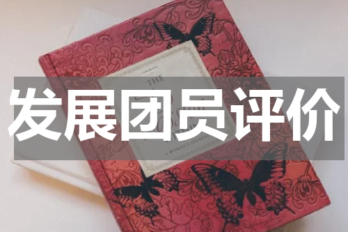 发展团员评价