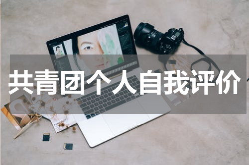 共青团个人自我评价