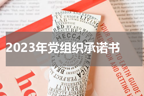 2023年党组织承诺书