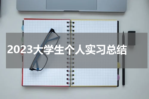 2023大学生个人实习总结