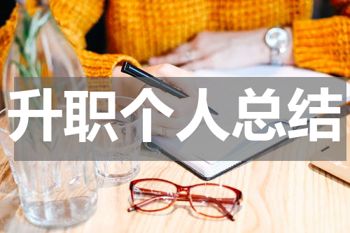 升职个人总结