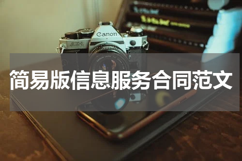 简易版信息服务合同范文