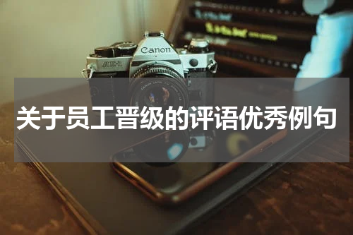 关于员工晋级的评语优秀例句