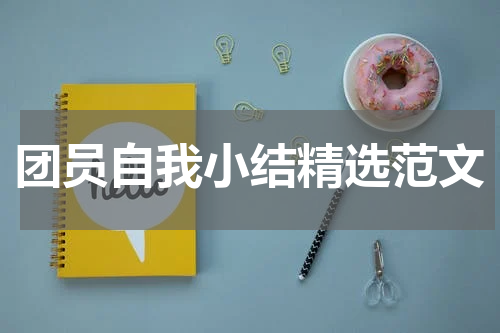 团员自我小结精选范文
