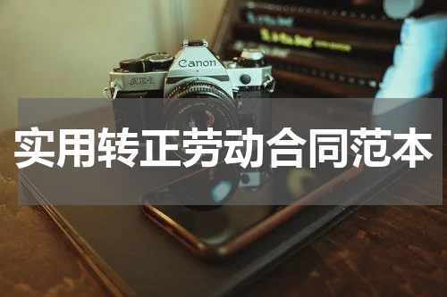 实用转正劳动合同范本