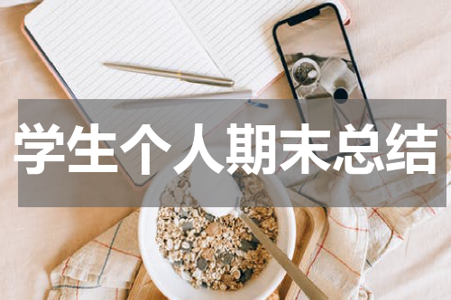 学生个人期末总结