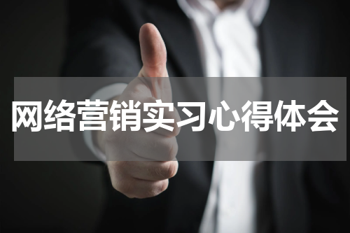 网络营销实习心得体会
