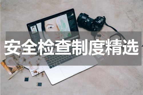 安全检查制度精选
