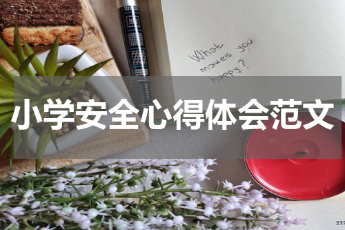 小学安全心得体会范文