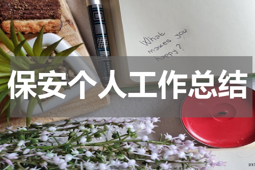 保安个人工作总结