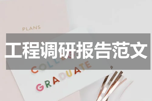 工程调研报告范文