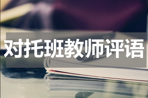 对托班教师评语