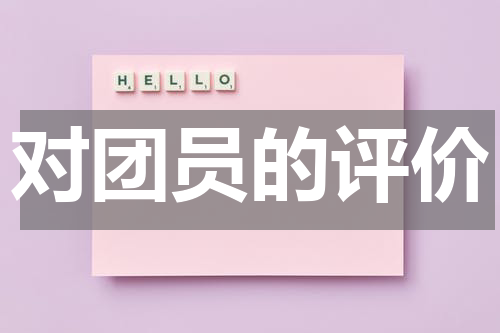 对团员的评价