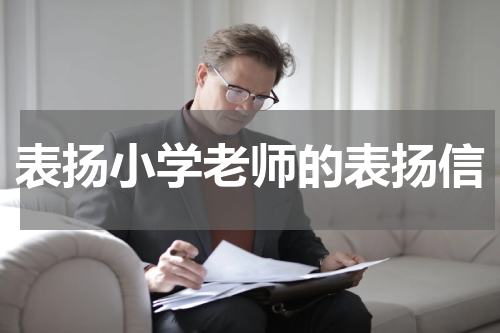 表扬小学老师的表扬信