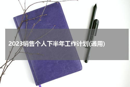 2023销售个人下半年工作计划(通用)