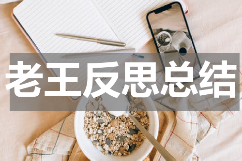 老王反思总结