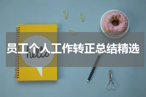员工个人工作转正总结精选