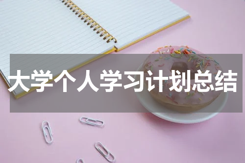 大学个人学习计划总结