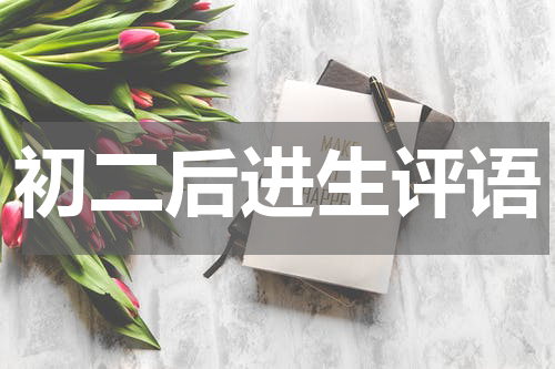 初二后进生评语