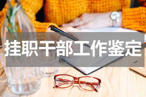 挂职干部工作鉴定