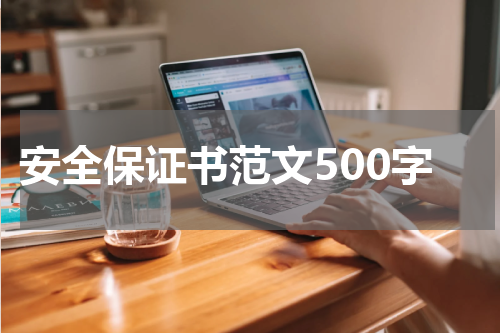 安全保证书范文500字