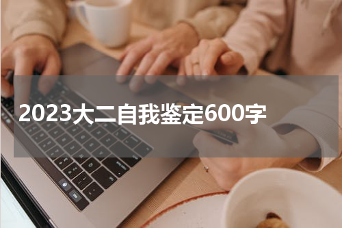 2023大二自我鉴定600字