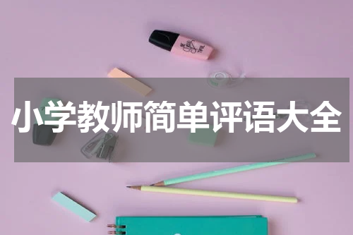 小学教师简单评语大全
