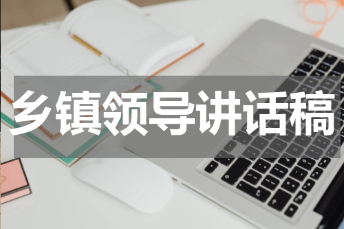 乡镇领导讲话稿