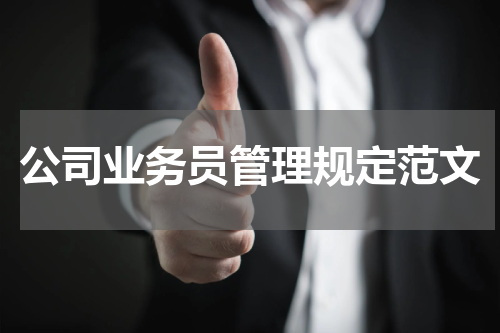 公司业务员管理规定范文